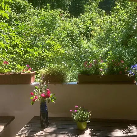 Zur Freiheit Guest house 3*