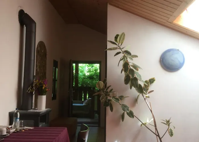 Zur Freiheit Guest house Passau