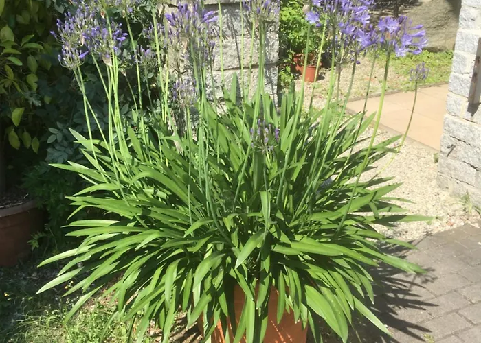 Zur Freiheit Guest house Passau