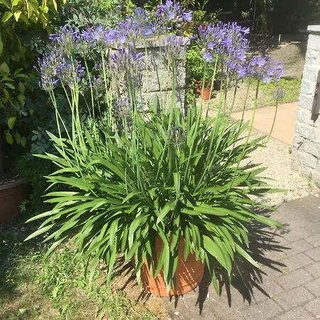 Zur Freiheit Pensjonat Pasawa