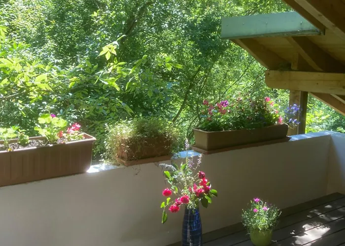 Zur Freiheit Gasthof 3*