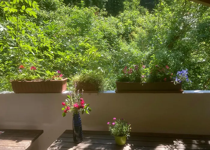 Zur Freiheit Gasthof 3*